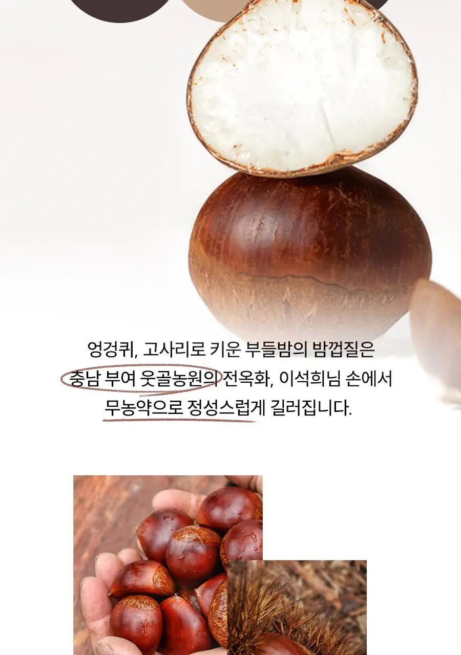 [화잘먹]한율 부들밤 깔끔각질 모공팩 100ml (15ml+모공패드 4매)기획 상세페이지 13